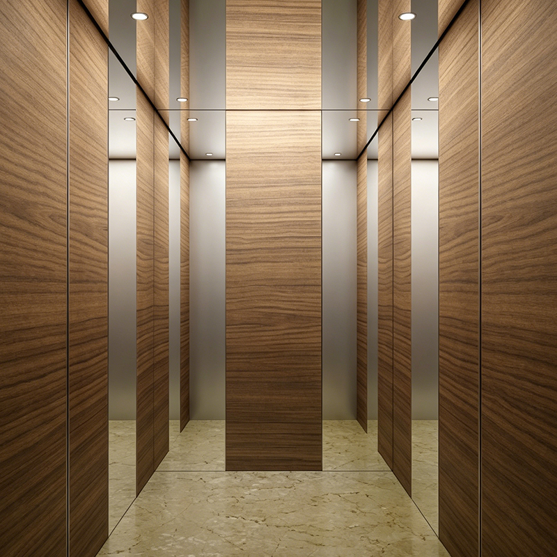 Modern Ahşap Kaplama Kabin İçi Villa Yolcu Asansörü